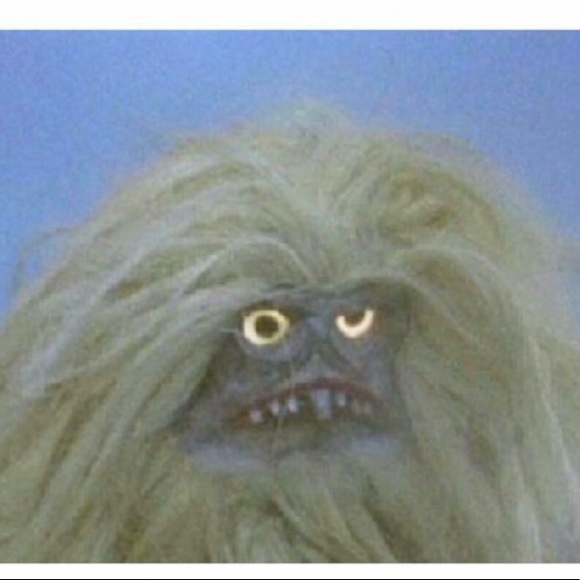 Meet your Posher, Joel - Picture 1 of 1